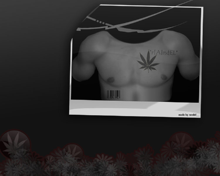 _body.jpg