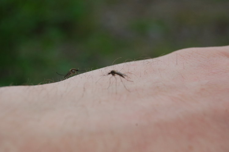 DSC_0049_resize.JPG