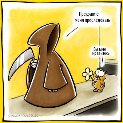 вы мне нравитесь.jpg