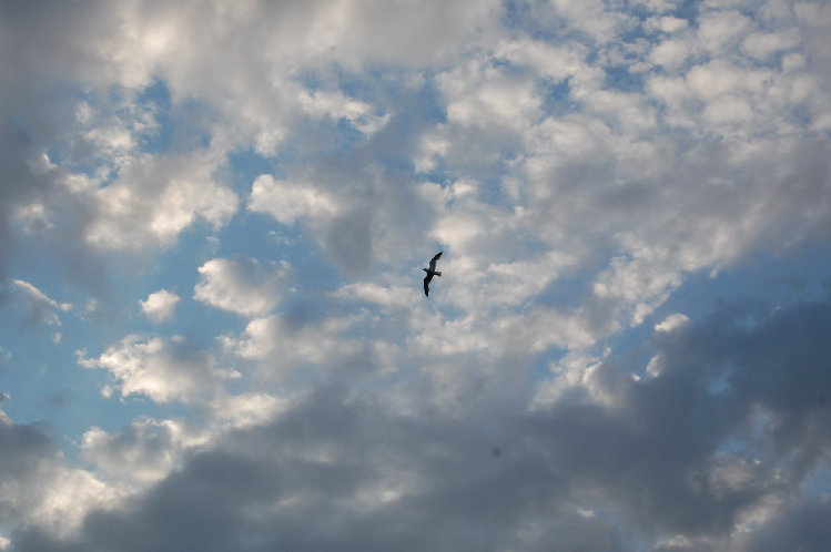 DSC_0044_resize.JPG