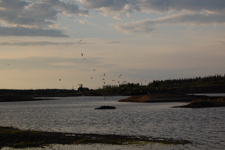 DSC_0048_resize.JPG