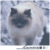 w_658.gif