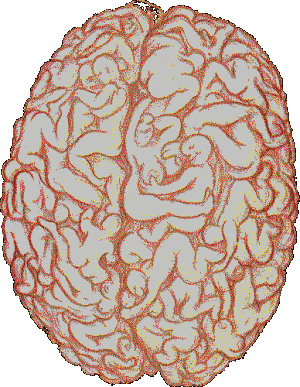 85090374643e324d906ad1_193.gif