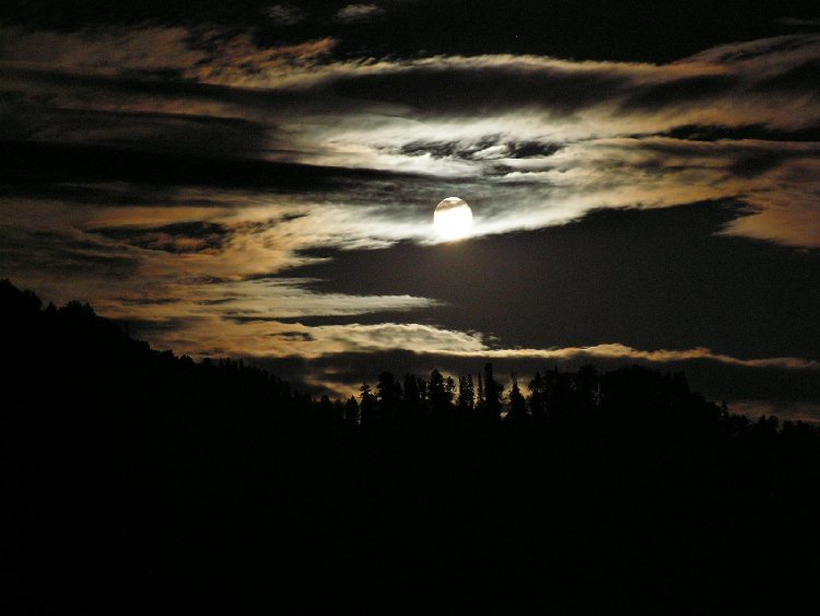 PICT0203.JPG