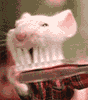 Мышь.gif