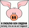 141.jpg