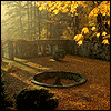 w_689.gif
