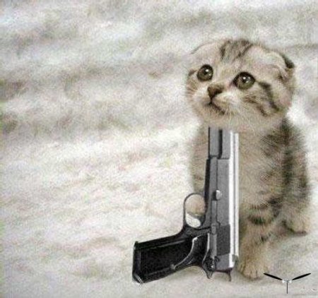 ыы.jpg