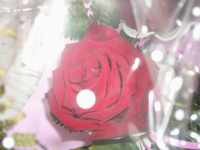 P10007491.JPG