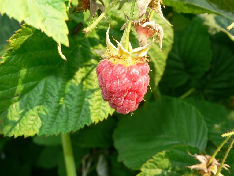 P1010474.JPG