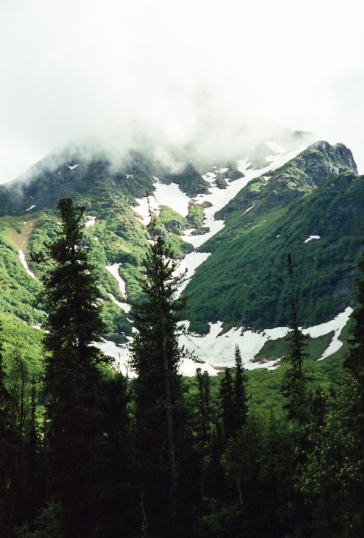 R001-007.JPG