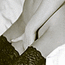 539.gif