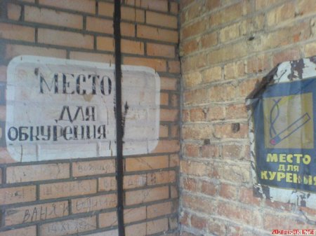 1185193037_aibolit1.jpg