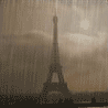 w_319.gif