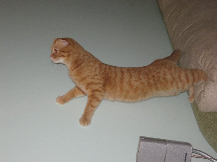 IMG1_2378.jpg