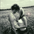 w_432.gif