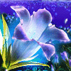 w_768.gif