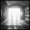 w_721.gif