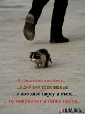 кис.gif