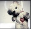e72c071de75fc5b7e3f7a4133dff63c6_full.jpg