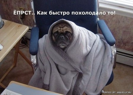 1190348362_1190328008_nadpisi_01.jpg