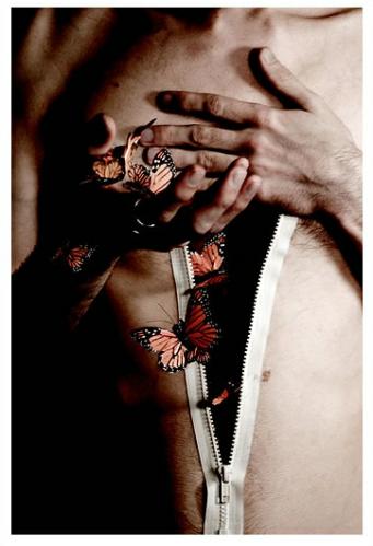 alternative_vision1161271332_i_2550_full.jpg