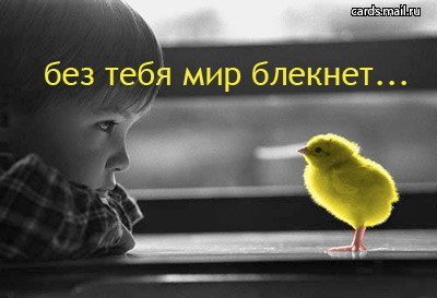 x_f240b0eacb.jpg