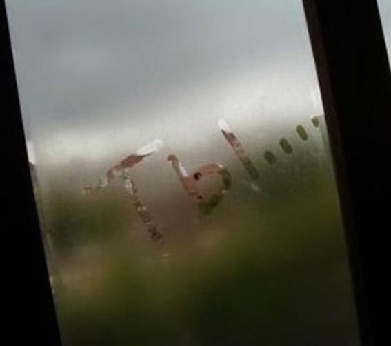 ты.jpg