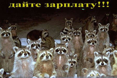 1171555516_daytezarplatu.jpg