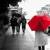 570.gif
