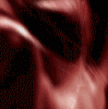 w_817.gif