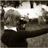 w_833.gif