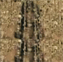 w_808.gif