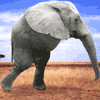 w_930.gif