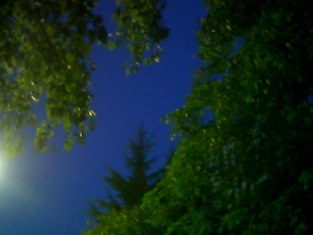 Bild011.jpg