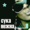 foto_14358.gif