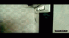 666_2.gif