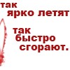 243.jpg