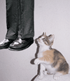 avatar_0536_mnis.ru.gif