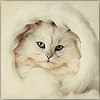 w_018.gif