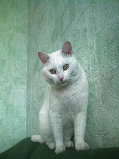 DSC00057.JPG