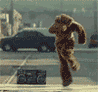 av1288ha0.gif