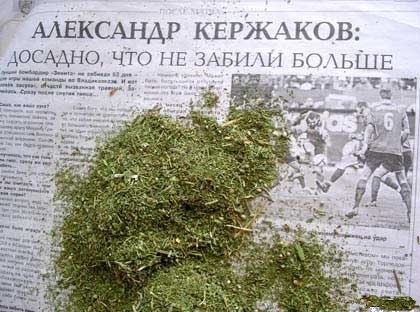 трава.jpg