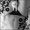 26103_prev_98.jpg