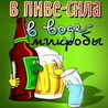 31442_prev_98.jpg