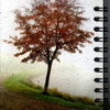 _In_the_autumn_by_karil.jpg
