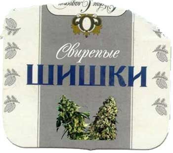 podborka_192_05.jpg