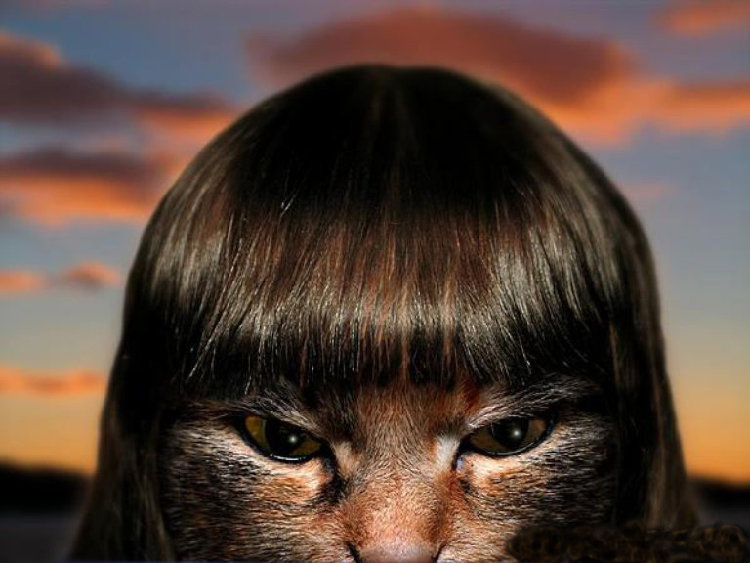 Кошечка.jpg