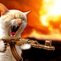 1170240041_434997768450bad0969a6f.gif