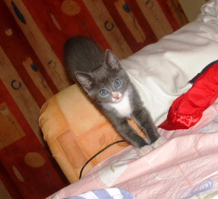 DSC09046.JPG